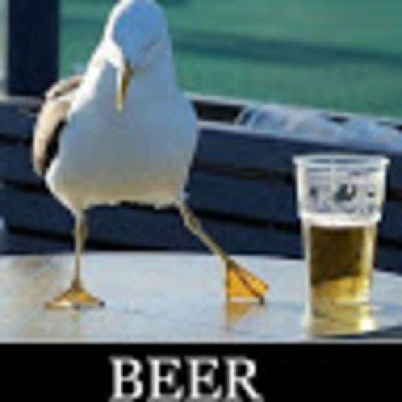 Meet your Posher, Derek - Picture 1 of 1